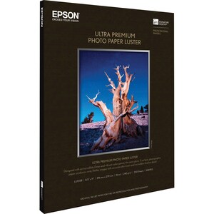 Epson Premium Photo Paper - Letter - 8 1/2" x 11" - Luster - 250 Sheet