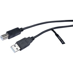 V7 V7E2USB2AB-03M 3.05 m USB-A/USB-B Data Transfer Cable - Cable for Computer, Peripheral Device, Digital Camera, Printer,
