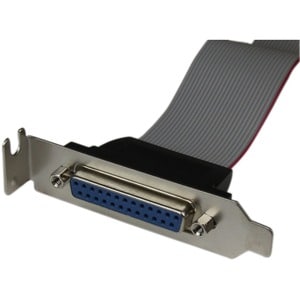 StarTech.com Cavo adattatore per porta parallela 40 cm a basso profilo con staffa - DB25 (F) a IDC26 - Cable for Scheda Ma