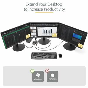 StarTech.com Signal Splitter - Plastic - Black - 4096 x 2160 - 2 m Maximum Operating Distance - DisplayPort