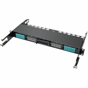 Eaton Tripp Lite Series 100Gb/120Gb Pass-Through Cassette - (x6) 24-Fiber MTP/MPO ( Female ) - 6 x MTP/MPO, 6 x MTP/MPO - 