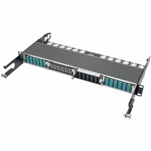 Eaton Tripp Lite Series 100Gb/120Gb Pass-Through Cassette - (x12) 24-Fiber MTP/MPO ( Female ) - (x12) 24-Fiber MTP/MPO