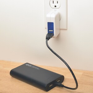 Tripp Lite by Eaton Portable Charger - 2x USB-A, 12,000mAh Power Bank, Lithium-Ion, LED Flashlight, Black - For Smartphone