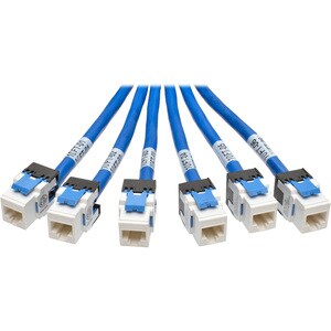 Eaton Tripp Lite Series Cat6a 10G Pre-Terminated Copper Trunk Assembly (6x RJ45 M/F), Blue, 10 ft. (3.05 m) - 10 ft Catego