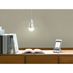 Lampadina LED TP-Link - 10 W - 60 W Watt equivalenti alle lampadine a incandescenza - 230 V ca - 800 lm - A19 Dimensione -