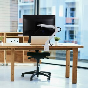 Ergotron 安装臂 用于 LCD 显示器 - 抛光铝 - 1 显示器支持 - 86.4 cm (34") 支持屏幕 - 9.07 kg 承载量 - 75 x 75, 100 x 100