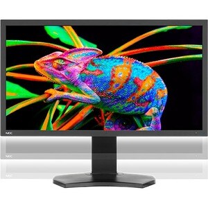 NEC Display PA311D-BK-SV 31" Class 4K LCD Monitor - 17:9 - 31.1" Viewable - In-plane Switching (IPS) Technology - WLED Bac
