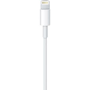 Apple 1 m Lightning/USB Data Transfer Cable for iPhone, iPad, iPod, Computer, Power Adapter, iPad Air, iPad mini, iPad Pro