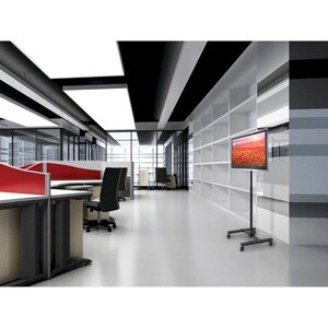 Tripp Lite series DMC1342S Mobile TV Stand, 13" to 42" TVs and Monitors - Up to 42" Screen Support - 44 lb (19958.06 g) Lo