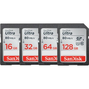 SanDisk Ultra 32 GB Class 10/UHS-I (U1) SDHC - 1 - 48 MB/s Read