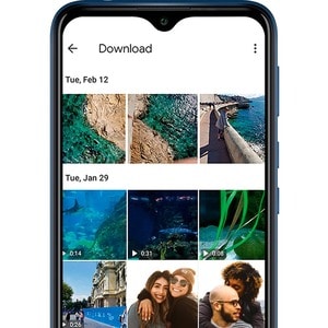 Smartphone Wiko Y81 32 GB - 4G - 15,7 cm (6,2") LCD HD+ 1520 x 720 - Quad core (4 Core) 1,80 GHz - 2 GB RAM - Android 10 (
