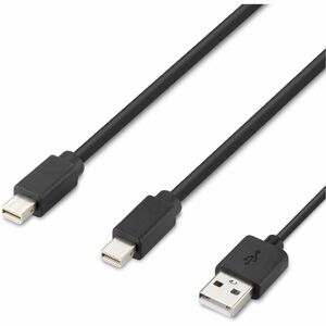 Belkin Modular Mini DP Dual-Head Host Cable 6 ft. - 6 ft (1.83 m) Mini DisplayPort/Modular/USB-A A/V Cable for Audio/Video