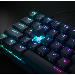 SteelSeries Apex Pro Mini Gaming Keyboard - Cable Connectivity - USB Type C Interface - RGB LED - English (US) - Xbox, Pla