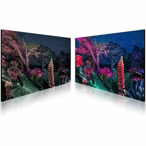 Samsung QHB Quantum Processor 4K Signage - 49.5" LCD - Vertical Alignment (VA) - 24 Hours/7 Days Operation - 3840 x 2160 -