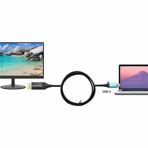 i-tec 1.50 m DisplayPort/USB-C A/V Cable for Docking Station, Monitor, Graphic Card, Desktop Computer, Notebook, Projector