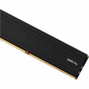 Micron Pro 64GB (2 x 32GB) DDR5 SDRAM Memory Kit - For Desktop PC - 64 GB (2 x 32GB) - DDR5-5600/PC5-44800 DDR5 SDRAM - 56