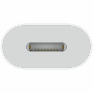 Apple 音频/数据传输适配器 - 1 x Lightning - Female