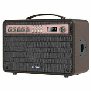 Aiwa Enigma Beta II Portable Bluetooth Speaker System - 100 W RMS - Gold - 60 Hz to 15 kHz - Battery Rechargeable - 1 Pack