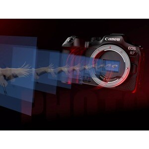 Canon EOS R7 32.5 Megapixel Mirrorless Camera Body Only - CMOS Sensor - 7.5 cm (3") Touchscreen LCD - Electronic Viewfinde