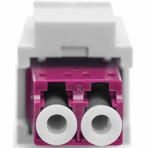 Digitus Netzwerkadapter - 1 - Violett