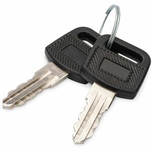 Digitus Key for wall-mounted enclosures Dynamic series, SOHO 10" & 19" series, charging cabinets. Type: Locking key, Produ