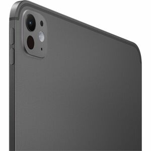 iPad Pro 11in (M4) Wi-Fi 512GB with Standard Glass - Space Black