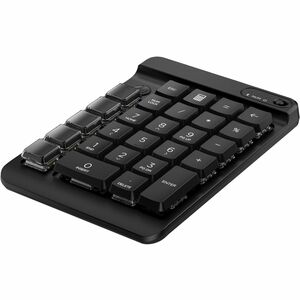430 Programmable WL Keypad Asia Pacific