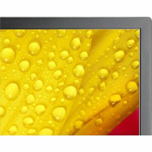 NEC Display MultiSync M431-2 1092,20 mm LCD Digital-Signage-Display - 24 Stunden/7 Tage Betrieb - Energy Star - IPS-Techno