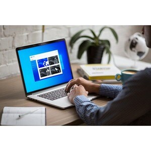 iStorage cloudAshur Management Console - Licence - 1 an(s) - Niveau de Prix (10-49)