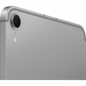 iPad mini Wi-Fi + Cellular 256GB - Space Grey
