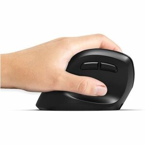 Port Connect ERGO Mouse - Bluetooth/Radio Frequency - USB Type A, USB Type C - Optical - 5 Button(s) - Wireless - 2.40 GHz