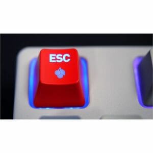 CHERRY XTRFY XTRFY K4V2 RGB TKL Gaming-Tastatur - Kabel Konnektivität - USB Typ-A Schnittstelle - RGB LED - Englisch (US) 