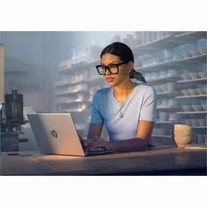 HP ProBook 4 G1a 35,6 cm (14 Zoll) Notebook - WUXGA - AMD Ryzen 5 230 - 16 GB - 512 GB SSD - Silber - AMD Chip - 1920 x 12