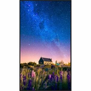 Sharp NEC Display MultiSync PN-M652 1651 mm LCD Digital Signage Display - 24 Hours/7 Days Operation - Energy Star - In-pla