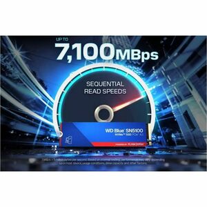 Western Digital Blue WDS100T5B0E-00CPE0 1000 GB Solid State Drive - M.2 Internal - PCI Express