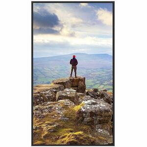 Sharp PN-E509 50" 4K UHD Professional Display - 49.50" LCD - Vertical Alignment (VA) - 16 Hours/ 7 Days Operation - 3840 x