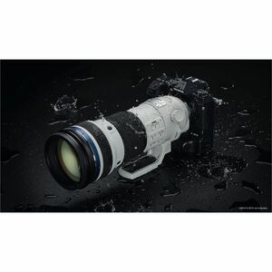 Olympus M.ZUIKO DIGITAL - 150 mm to 400 mm - f/22 - f/4.5 - Telephoto, Ultra Telephoto, Teleconverter Zoom Lens - 95 mm At