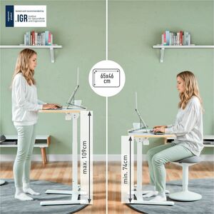 Leitz ERGO Sit-stand Desk - 1 Legs - Height Adjustable - 460 mm Table Top Width x 650 mm Table Top Depth - 1090 mm Height 