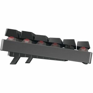 CHERRY MX 8.2 TKL Gaming Keyboard - Tenkeyless - Wired/Wireless Connectivity - USB Type A Interface - RGB LED - French - A