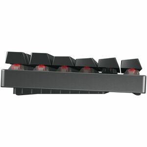 CHERRY MX 8.2 TKL Gaming Keyboard - Tenkeyless - Wired/Wireless Connectivity - USB Type A Interface - RGB LED - English (U