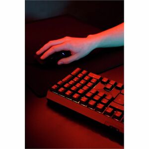 CHERRY MX 3.0S Gaming Keyboard - Full-size - Wired/Wireless Connectivity - USB Type A Interface - RGB LED - French - Black