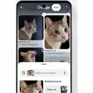 realme C71 256 GB Smartphone - 16,9 cm (6,7 Zoll) LCD HD+ 1604 x 720 - Octa-Core (Cortex A75Dual-Core 1,80 GHz + Cortex A5