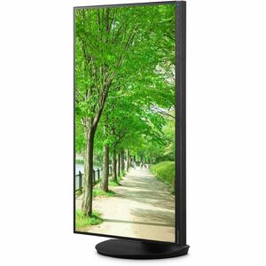 NEC Display MultiSync DD-EA242F 24 Zoll Klasse Full HD LED-Monitor - 16:9 Format - Schwarz - 60,5 cm (23,8 Zoll) Viewable 