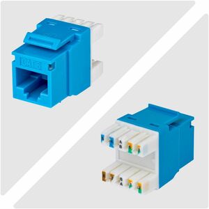 StarTech.com Gold Plated Network Connector - 24 - 1 x RJ-45 Network - Blue