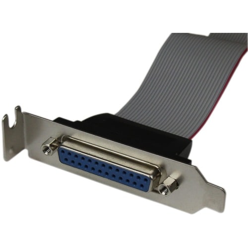 StarTech.com Low Profile 16in Parallel Port Header Cable Adapter with Bracket - DB25 (F) to IDC26 - Cable for Motherboard 