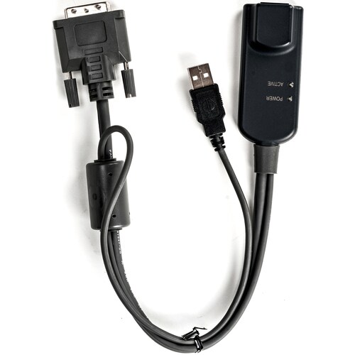 SERVER INTERFACE MODULE FOR DVI