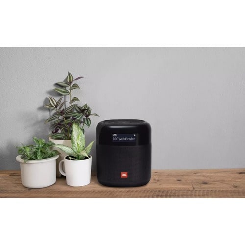 JBL Tuner XL Radio Portatile DAB/DAB+/FM con Bluetooth, JBL Pro Sound, Waterproof IPX7, Fino a 15 Ore di Autonomia, Displa