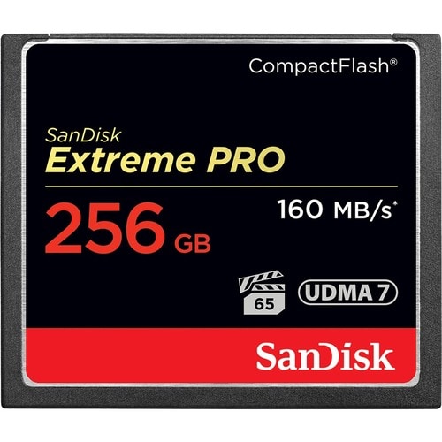 SanDisk Extreme PRO 256 GB CompactFlash - 160 MB/s Read - 140 MB/s Write
