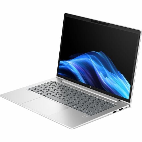 HP ProBook 4 G1i 35.6 cm (14") Notebook - WUXGA - Intel Core Ultra 5 225U - 16 GB - 512 GB SSD - Pike Silver - Intel Chip 