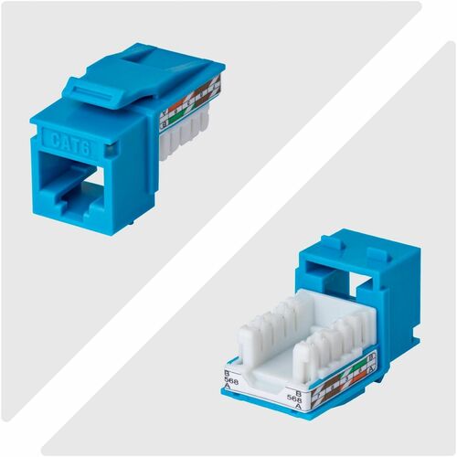 StarTech.com Gold Plated Network Connector - 24 / Pack - TAA Compliant - 1 x RJ-45 Network - Female - Blue